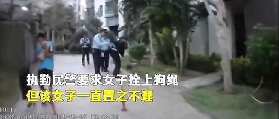 女子遛狗不栓绳还不听劝阻 警方：没收泰迪并罚款3050元