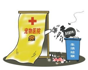 宠物医疗废物，去哪儿了？真相令人吃惊