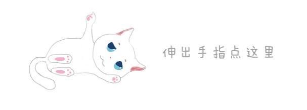 流浪三花猫偶遇霸道猞猁，靠卖萌在动物园生存，神奇共度12年！