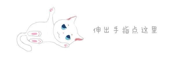 三花猫临危受命担任猫站长，800万人来吸猫，成功挽救亏损铁路