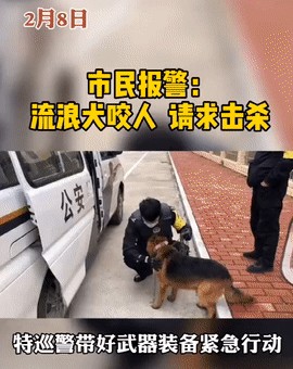 凶猛的流浪狗请求杀死它！巡警全副武装，吓坏了：一个德牧